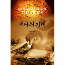 베다의 지혜, 슈리크리슈나다스아쉬람, 스티븐 냅