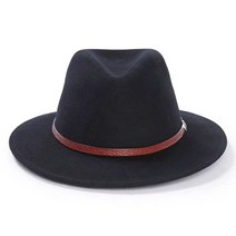 Stetson 남성용 카우보이 밍크., Black
