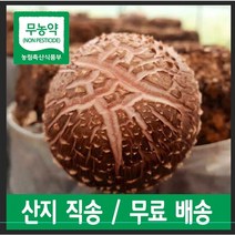 [학산해가득농장] 무농약 국내산 생표고버섯 상등급 중등급 1kg 참나무 표고버섯, 생표고버섯 중등급 2kg