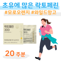 20대 대학생 취준생 건강 관리 락토페린 순도 95% 고순도 락토페린 초유 성분 프랑스 Ingredia 저온 건조 공법 하루 2알 1포 홈쇼핑 프리미엄 영양제 가격 비교, 20 주분, 500mg x 56정 (하루2정)