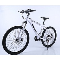 전기 산악자전거 MTB 광폭타이어 입문 출퇴근용 산악 자전거 한 바퀴 스포츠카 성인 학생용 오프로드 레이, 05 5_02 26inch