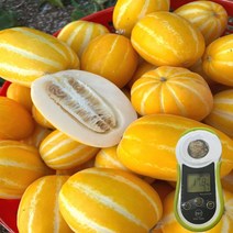 [66년농부의비법] 마미템 제철 달달 성주참외 고당도 꿀참외 못난이 가정용 정품 3kg 5kg 혼합, 가정용 혼합 꿀참외 3kg