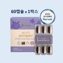 감마리놀렌산 오메가6 저온압축추출 보라지종자유 오일 효능 borage seed oil 식물성캡슐 PMS 여성케어 영양제, 700mg/60캡슐/1박스, 1개