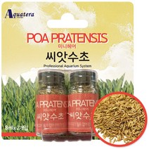 구딘 수초어항 만들기 씨앗수초(하이그로필라&미니헤어), 1개