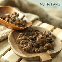 영월이방 국내산 저온건조 창이자 도꼬마리 300g, 100g x 3, 3개