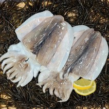 급냉 손질 갑오징어 1kg(3-5미내외) / 2kg(6-10미내외), 급냉 손질 갑오징어 2kg(6-10미내외)