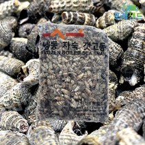 진보종합상사 갯고동 1kg 냉동 다슬기 고동 갯고둥 올갱이 베트남 봄 제철음식, 1개