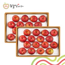 장길영사과(보조개) [22년]장길영 햇 부사 보조개 사과 4.5kg*2박스 / 총9kg, 1