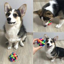 애견볼 장난감공 3개월 강아지 고양이 공놀이 딸랑이 6CM 강아지딸랑이 애견치발기 애견용품