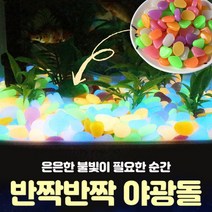 반짝반짝 야광돌 야광자갈 어항 수조 화분 산책로 공예용품, 색상혼합(50개입)