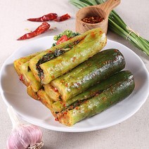 국산 맛있는 전라도 오이소박이 1kg 2kg 오이김치 3kg 4kg 오이소베기 5kg 10kg, 전라도오이김치5kg
