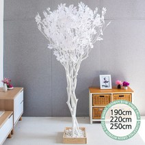 실내인테리어 인조나무 123종 / 플트 조화나무 C, C20.라인-화이트느티나무 220cmK/사방형, 1개