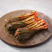 [청우김치] 청우 맛있는 쪽파 김치 파김치 업소용 중국산 수입, 1박스, 5kg