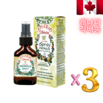 인후염에 좋은 꿀벌 프로폴리스 스프레이 30ml 3개