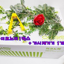 (샤인 몰) 꽃꽃이 플로랄폼 오아시스 이코노미 20개 1박스 +장미 가시제거기 1개
