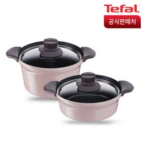 테팔 트레져 IH 인덕션 냄비세트 2종, 혼합 색상, 전골 냄비 24cm + 국 24cm