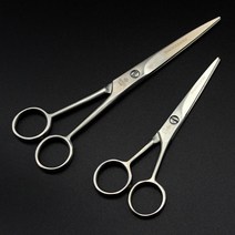 왼손 5 