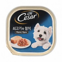 소고기참치맛 시저 100g 특별식 사료 3개 강아지습식