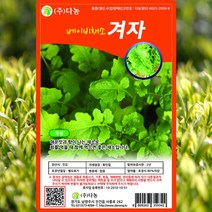 베이비겨자 씨앗 베이비겨자 씨 종자 10g, 단품