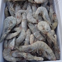 [대게장터] 홍해 흰다리 새우 2kg (70-75미) 수입산 소금구이 새우튀김 간장새우장, 1개