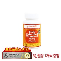 엔조라이프 에스테르 비타민C 750mg 120정