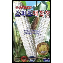 스피드대학찰옥수수씨앗70립 찰옥수수씨앗 KS종묘