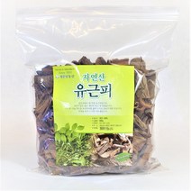 청운당농산 국산 유근피 600g 지리산 왕느릅나무 뿌리껍질, 1팩
