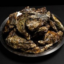 산지직송 통영 프리미엄 삼배체굴 개체굴 바위굴 대왕굴 석화 1kg