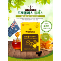 프로폴리스영양제 비프로폴리스 프로폴리스캡슐 프로폴리