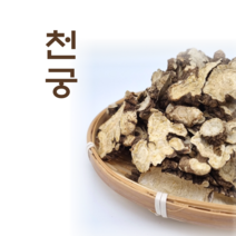 천궁 중국산 500g