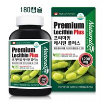 캐나다 대두 레시틴 식물성 포스파티딜콜린 고함량 인지질 난황레시틴 과립 분말 혈중콜레스테롤개선 혈행개선 뇌건강 영양제 추천