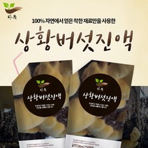 상황버섯즙 상황버섯액기스100ml 90포 1박스 지리산 다옴