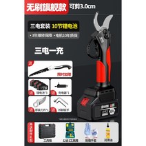 전동 가위 전지가위 분할 가지치기 전기 충전식 무선 정원 전동가위 전정가위 장대 원예, I