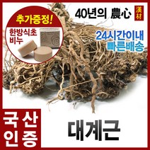 자애인 국산 대계근 1200g 엉겅퀴뿌리 경북안동, 단품