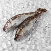동해안 대구 생대구 지리 매운 탕 찜 2kg 냉동, 대구 2kg (3-4미), 1개