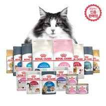 로얄캐닌 고양이 캣 400G 소용량, 브리티쉬 숏헤어 400G