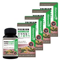 네추럴라이즈 프리미엄 보스웰리아 60정 4박스