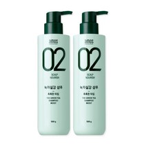 아모스1+1 녹차실감 샴푸 중건성 촉촉한타입 500ml, 500g, 2개
