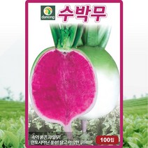 갑조네 뿌리 채소류 씨앗 모음, 1개, 수박무(씨앗)