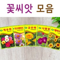 살아있는 꽃씨 야생화 키우기 다년생 채송화 다알리아 달맞이꽃 해바라기 맨드라미 봉선화 코스모스 메리골드 패랭이 접시꽃 사루비아 구절초 유채 백일홍 금잔화 꽃씨앗, S- 꽃씨-샤스타데이지 x 1개