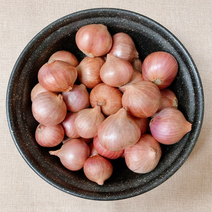 홍홍 중국식품 전통양파 1kg 샬롯 모충, 1팩