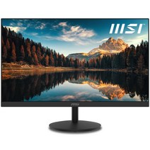 MSI 27인치 모니터 프로 MP271 IPS 아이세이버 무결점 / sy