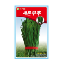 다농 새론부추씨앗, 1개