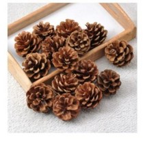 행복한세상 솔방울가습기 15p, 50개  (국내 자생품)