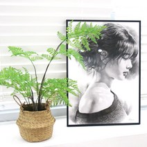 주문제작 바벤아트 100% 수작업 연필초상화 모오작가가 그리는 가치있는 선물 4절 크기, 1인, 화이트액자, 연필