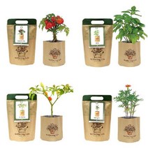 GO2shop GO2shop_ 식물재배기 실내식물 과학화분 식물기르기 미니화분세트 취미생활, ★선택* 소형 작은 미니화분 DIY 화분 꽃키우기, ★선택* 방울토마토
