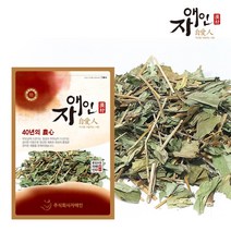 자애인 국산 삼백초 600g 청성초 경북영주, 단품