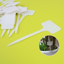 화분 식물 꽃 팻말 이름표 네임택 라벨