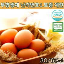 무항생제 난각번호1번 토종닭 유정란 토종란 신선란 자연방사 유정란 알찬 유황 동물복지 자연 방목계란 1번계란 금계 생계란 월간 계란 정기배송 날계란 30구 60구, 토종란 30구*2개입