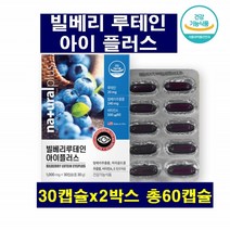 빌베리 루테인 아이 플러스 마리골드꽃추출물 비타민A E 빌베리추출분말 안토시아노사이드 베타카로틴 헤마토코쿠스 대두레시틴 밀납 알파 토코페롤 정제어유, 2박스